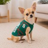 Playera para Perro con diseño Oficial FIFA – México –