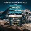 BloomBoost Shilajit for Men and Women - Shilajit Gummies -