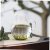 LABRIMP Style Teapot Small Tea Kettle Stovetop Loose Tea Easy