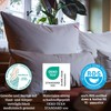 Paradise Three-Chamber Pillow 40 x 80 cm - 100 g