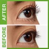 Maybelline New York Define-A-Lash Lengthening Washable Mascara, Very Black, 0.22