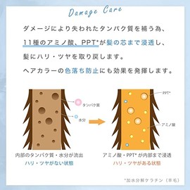 FREMENA Hair Oil 3.4 fl oz (100 ml) (Smooth Type (Fruity Floral))