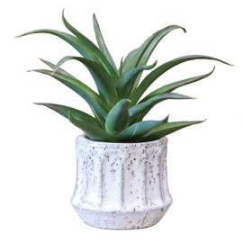 KI Japan 168744 Epeepot Aloe