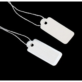 Pack of 300 Labels with Thread Price Tags Thread Labels Jewellery Labels Thread Label Hanging Labels Cardboard Label Price Labelling (22 x 11 mm White Silver)