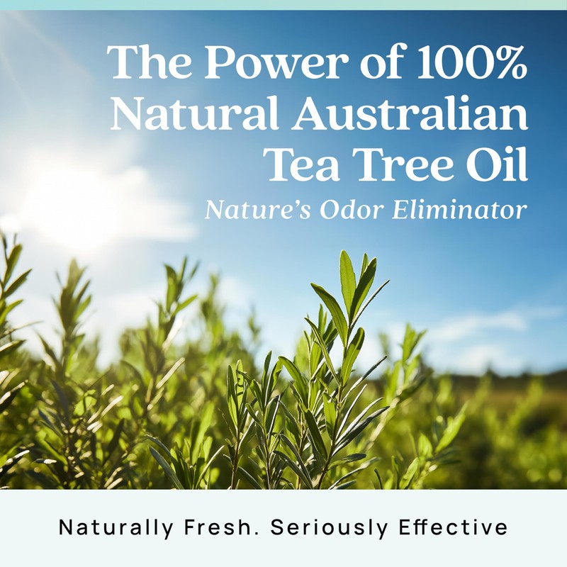 Azuna Air Freshener & Odor Eliminator for Strong Odor |