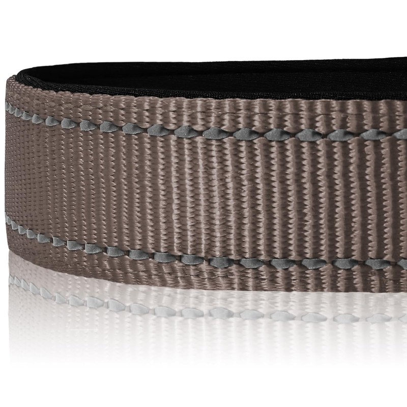 Joytale Reflective Dog Collar, Soft Neoprene Padded, Metal D-Ring, Nylon