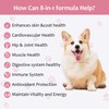 NooraTail NooraTail 8-in-1 Dog Multivitamin Health Supplement for Joint, Muscle,