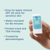 BLUE LIZARD Sensitive Mineral Sunscreen Stick - No Chemical Actives