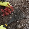 Centurion 485 5-pc Garden Hand Tool Set, Trowel, Cultivator, 5-Tine