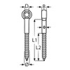 Heavy Duty 4 x Marine Grade Stainless Steel lag Screws