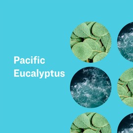 Everyone Pacific Eucalyptus Hand Soap, 12.75 FZ