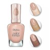 Sally Hansen Color Therapy Nail Polish Color # 310 Couple's