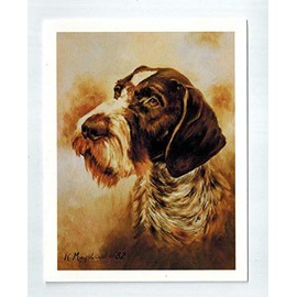 German Wirehaired Pointer Head Study Notecards 12 Note Cards w/Envelopes By Ruth Maystead