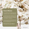 Wisefood Sugar Cane Plates – Pack of 50 Bagasse Disposable