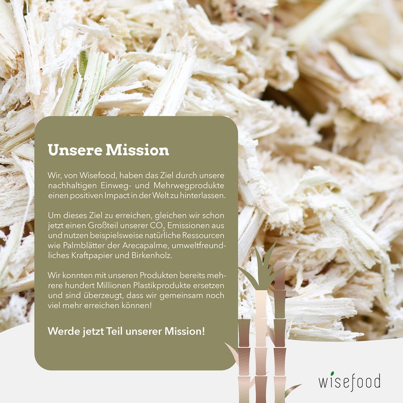 Wisefood Sugar Cane Plates – Pack of 50 Bagasse Disposable