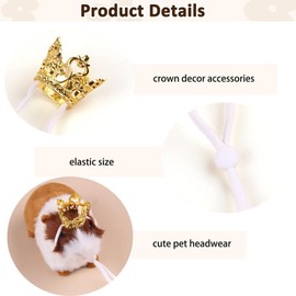 NUOSYI 1PCS Crown Tiara Headband for Cat Dogs Puppy Birds Ducks Chicken Rabbit Hamster Pets Party Birthday Grooming Hair Accessories(Gold, Elastic)