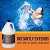 Lo-Chlor Ez-Pour Chlorine Stabilizer For Pool - Liquid Cyanuric Acid