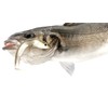 FIIISH Black Minnow 140-2 Jig heads Shore - 20g -