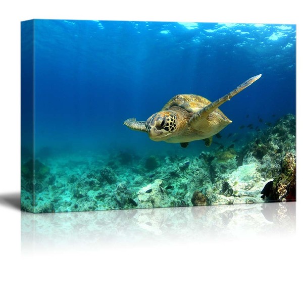 wall26 - Green Sea Turtle in Deep Ocean Sea -