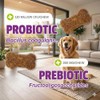 Pet Naturals Suplementos Naturales Daily Probiotics para Perros