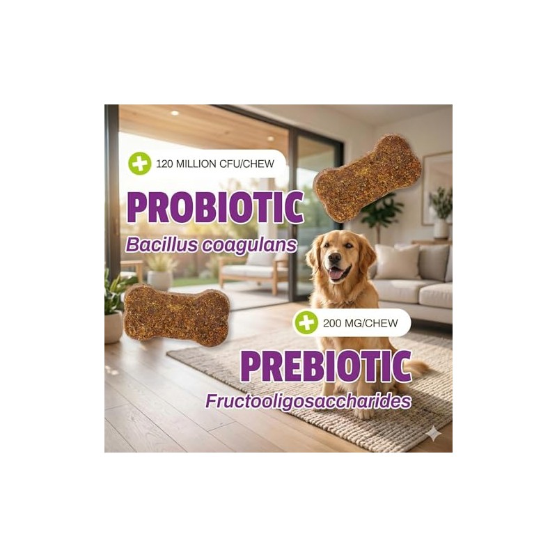Pet Naturals Suplementos Naturales Daily Probiotics para Perros