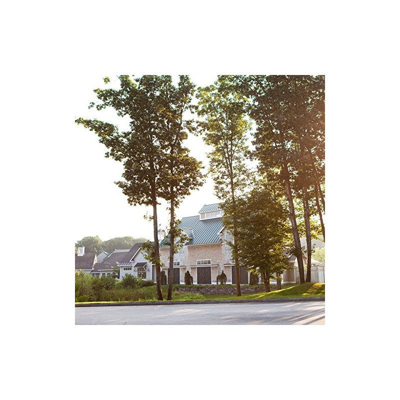 Tillen Farms Giardiniera, 18.34 oz