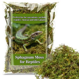 RAINFLOW Sphagnum Moss for Reptiles - 5.5 OZ Reptile Peat Moss Terrarium Bedding Reptiles Lizard Substrate for Reptile Tank, Snake, Leopard Gecko, Ball Python, Crested Gecko, Turtle, Frog, Hamster