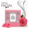 Agua de Rosas con Glicerina 5L Productos Mart Mexico Tónico
