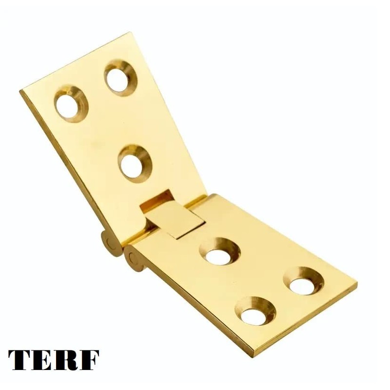 TERF® Heavy Duty Polished Brass Counter Flap Hinges 100mm X