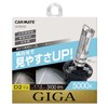 Carmate Car HID Genuine Replacement Bulb GIGA Super Clear D2R