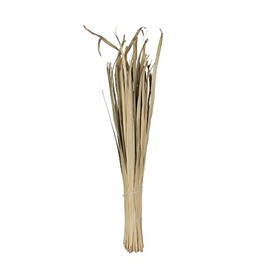 Vickerman 679265-40" Sun Palm Leaf Natural 100/pk (H7SUL900) Dried and Preserved Palms