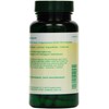 Bios Papaya Enzym, 100 Kapseln, 1er Pack (1 x 39