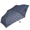 Nifty Colors 1812NV Folding Umbrella, Gradient Heart Carbon Lightweight Mini