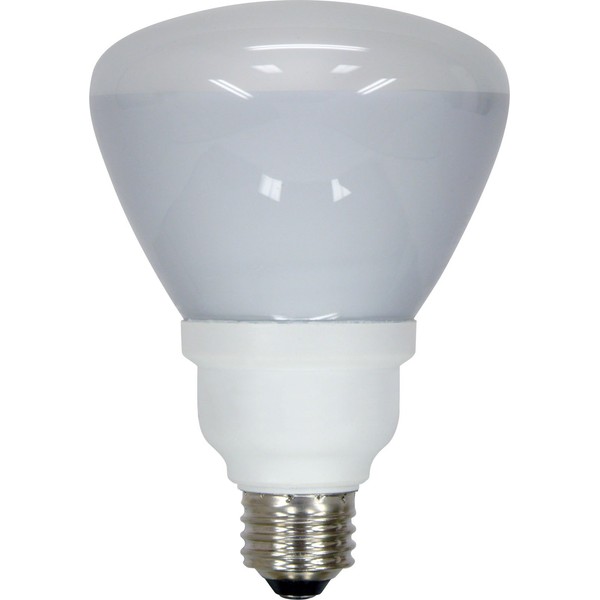 GE Lighting 80893 Energy Smart CFL 15-Watt (65-watt replacement) 750-Lumen R30 Floodlight Bulb with Medium Base, 1-Pack
