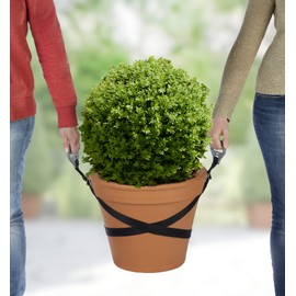 Wenko Maximex Universal Carrying Strap Set of 2 with Handles, Back-friendly Carrying Aid for Flower Pots and Boxes, Practical Hanging, Maximum Load 30 kg each, Dimensions (W x H): 3 x 200 cm