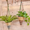 Wildlife World Artisan Hanging Plant Basket - Small Conical -