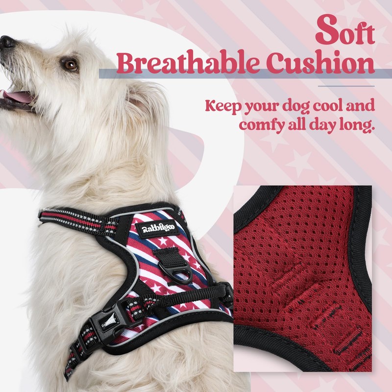 rabbitgoo Dog Harness No Pull with 2 Leash Clips, Adjustable