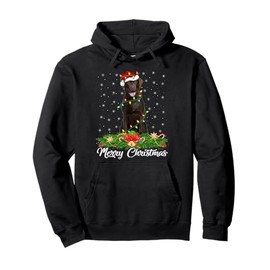 Xmas Lighting Decor Santa Labrador Retriever Dog Christmas Pullover Hoodie