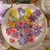 CHUXI 200pcs dried flower bookmarks, cute bookmarks, handmade diy, transparent