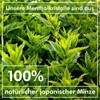 tek.vital Menthol Crystals Sauna Additive No. 1 | Sauna Menthol