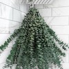 Andekas 25 PCS Real Dried Eucalyptus Stems for Shower Hanging-17''
