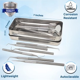 Comprehensive Dental Set of 13pc Plaque & Tarter Removing Double & Single Ended Explorer Probes in a Sterilizer Instrument Box Complete with Lid, Stainless Steel Oral Hygiene Care Professional Tools