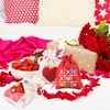 TUPARKA 15 Pcs Heart Love Shaped Drawstring Gift Bags for