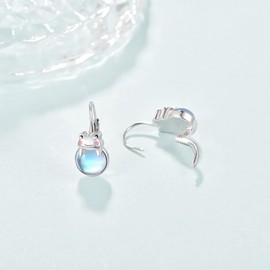 KINGWHYTE Frog Earrings 925 Sterling Silver Hoop Moonstone Earrings Cute Animal Studs Earrings Frog Birthday Jewellery Easter Gifts for Women Girls Daughter