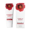 Camellia Kelp Ampoule Cream 100g Moisturizing Cream Moisturizing Cream Whitening Wrinkle Improvement, 1 Piece / 동백 다시마 앰플 크림 100g 보습크림 수분크림 미백 주름개선, 1개