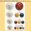 Shachihata TMN-SHCD1 Colorful Frosted Bun Production Kit