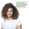 BioSilk Silk Therapy with Natural Coconut Oil Moisturizing Shampoo, Cleanses