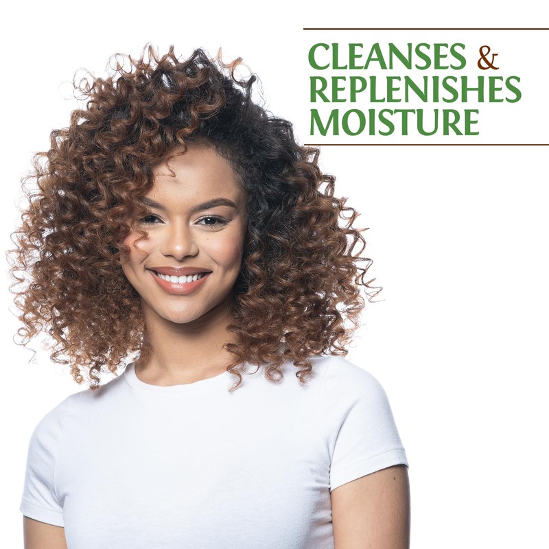 BioSilk Silk Therapy with Natural Coconut Oil Moisturizing Shampoo, Cleanses