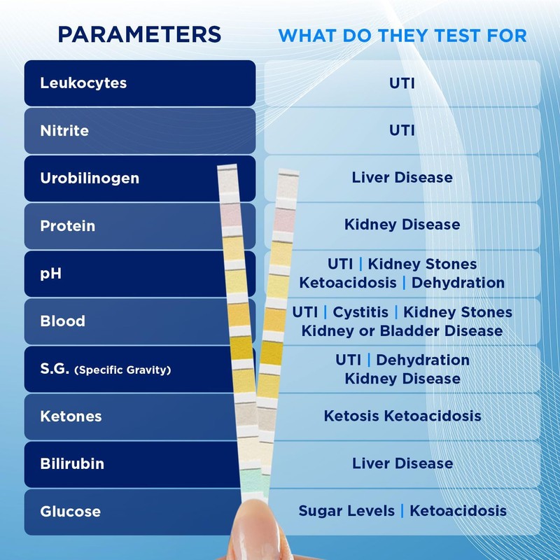 One Step 15 x Urine Home Test Strips 10 Parameter