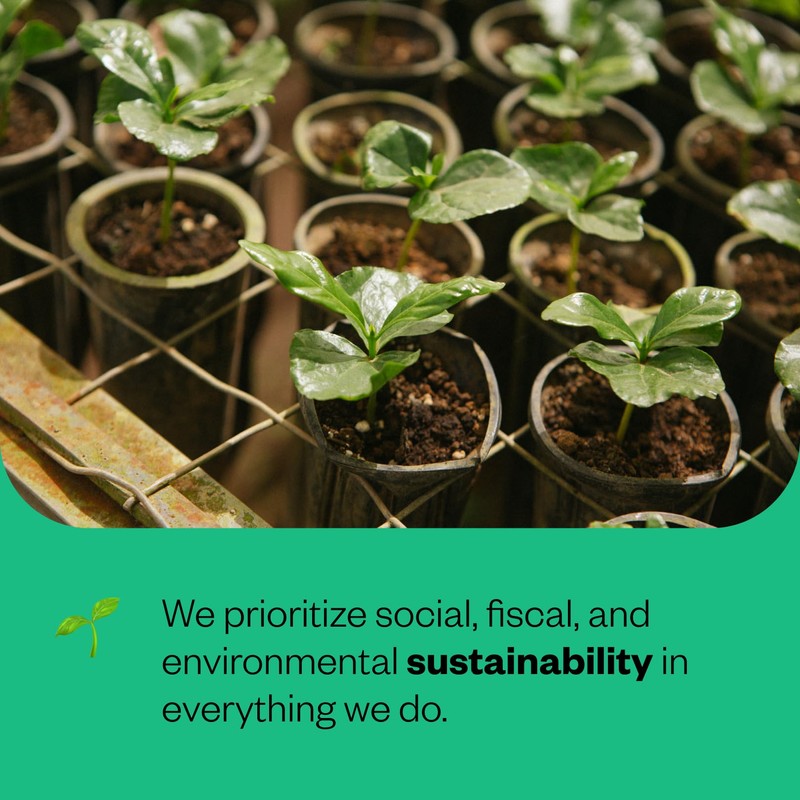 Counter Culture - Roast Packs (2 Bags, Medium Roast)